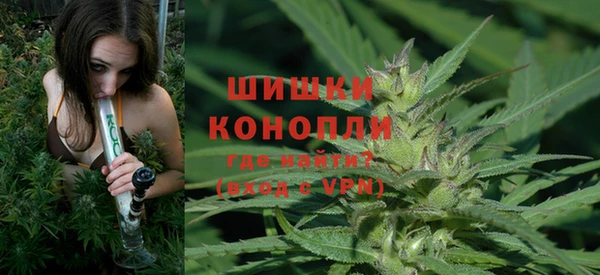 сатива Приозерск
