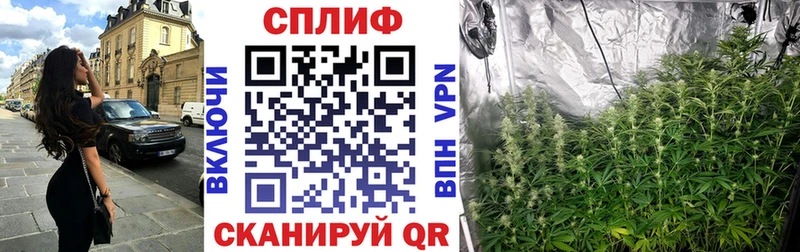 Бошки Шишки конопля  сколько стоит  Холм 